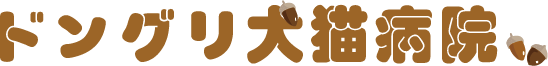 ドングリ犬猫病院